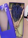Hoa oải hương - lavender khô 3